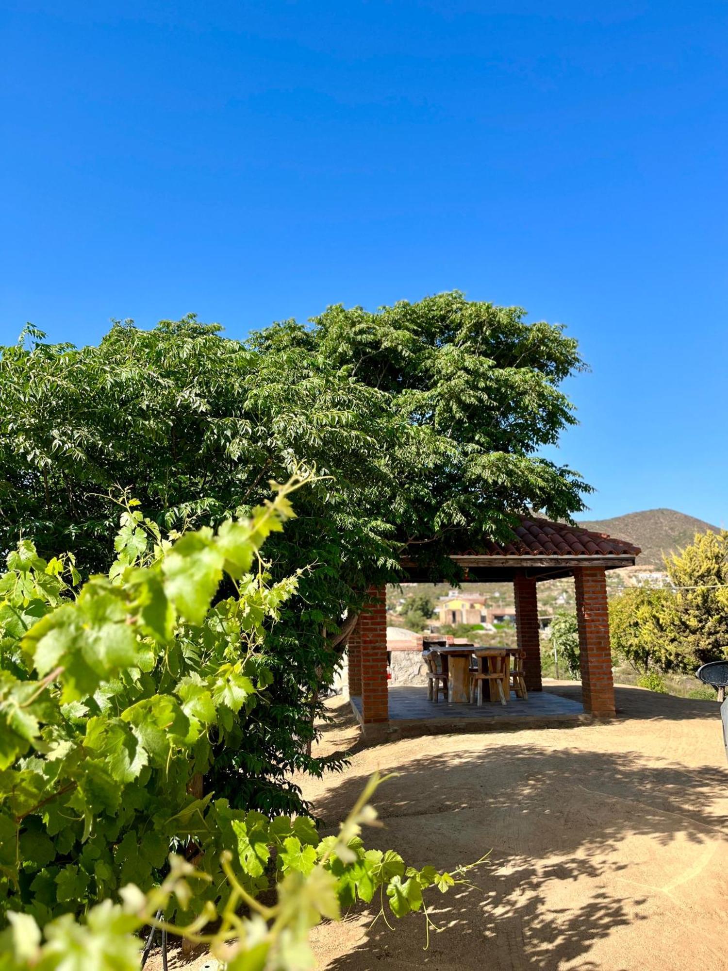 Cabanas Colibri Valle de Guadalupe Exterior foto